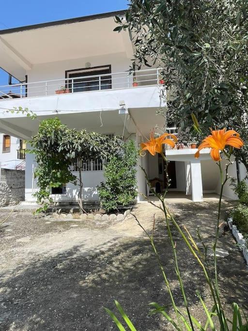 Agalliu Center Villa Berat